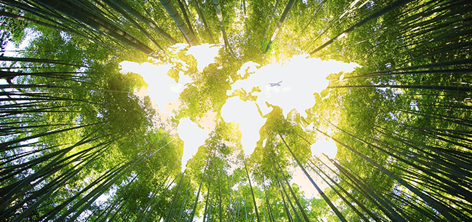 改变能源结构，承担未来责任